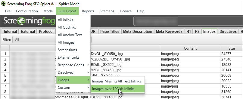 Screaming Frog bulk image export helps improve a slow website